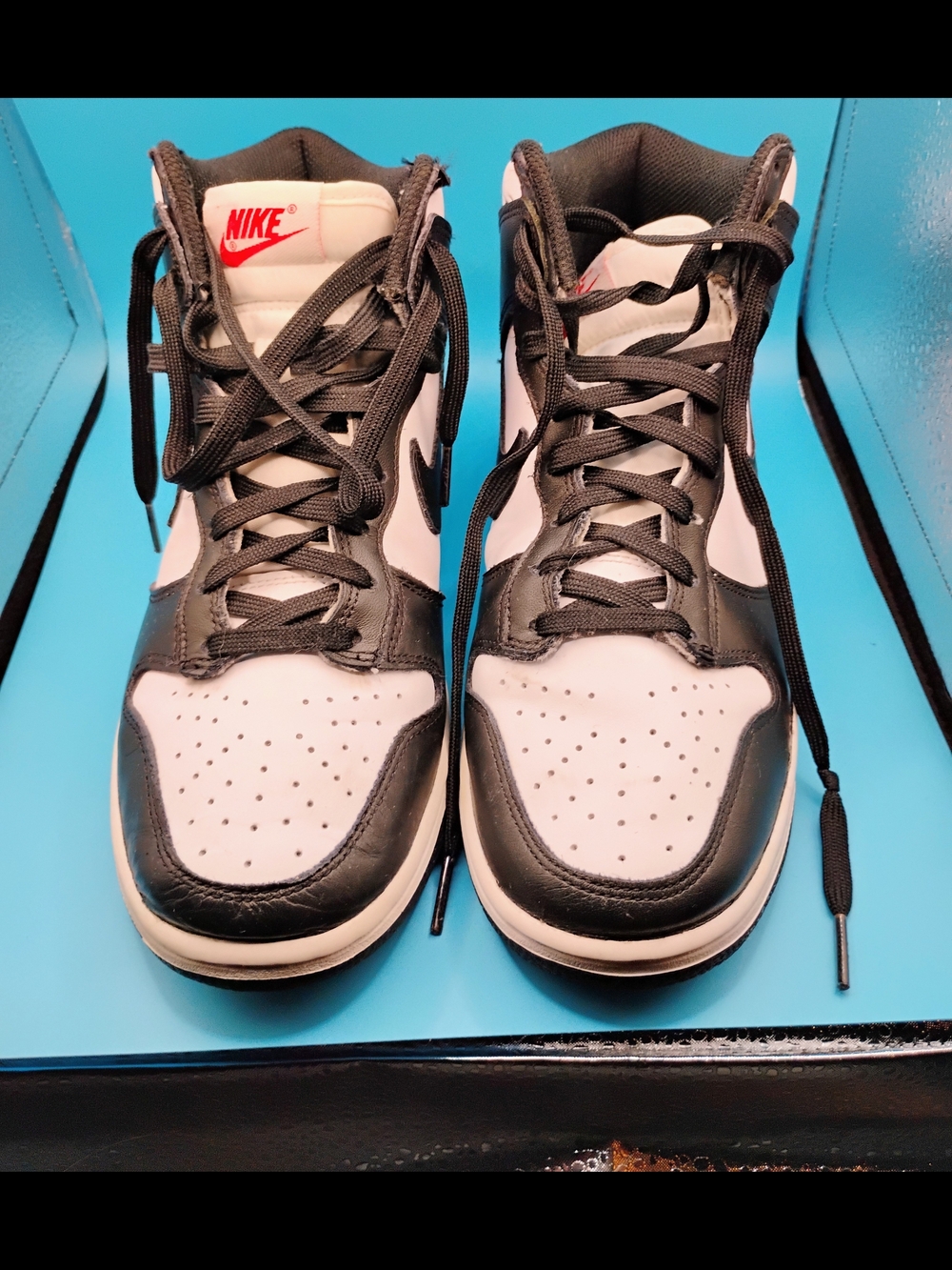 Nike Women's Panda Dunk Retro High